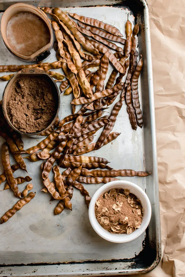 Roasted mesquite pods and powder on a baking tray